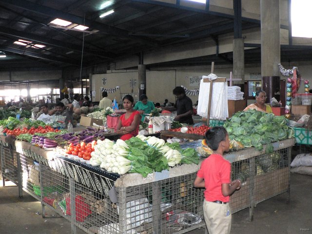 17- Une vendeuse indienne de legumes 